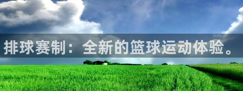 排球赛制：全新的篮球运动体验。