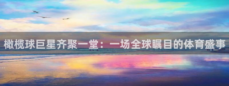 风速体育直播在线观看nba：橄榄球巨星齐聚一堂：一场全球瞩目