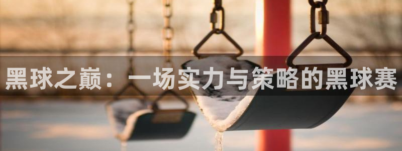 风速体育app下载地址：黑球之巅：一场实力与策略的黑球赛