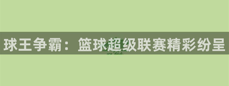 风速体育app下载链接：球王争霸：篮球超级联赛精彩纷呈