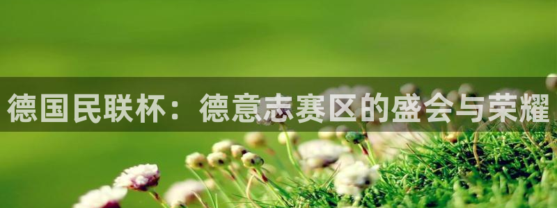 风速体育：德国民联杯：德意志赛区的盛会与荣耀