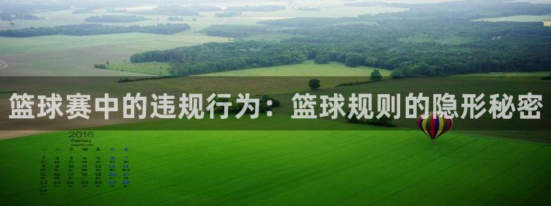 风速体育下载官方：篮球赛中的违规行为：篮球规则的隐形秘密