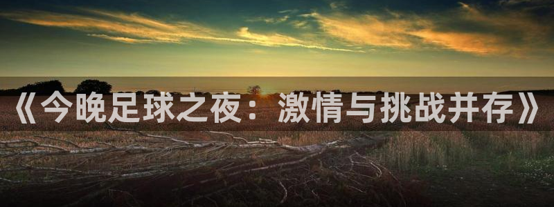 风速体育app手机版下载：《今晚足球之夜：激情与挑战并存》